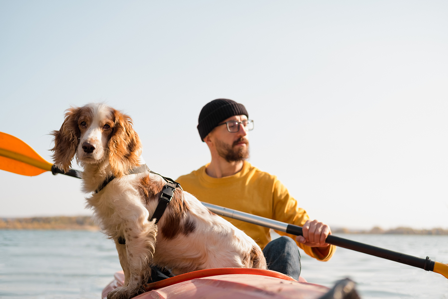 Kanu mit Hund