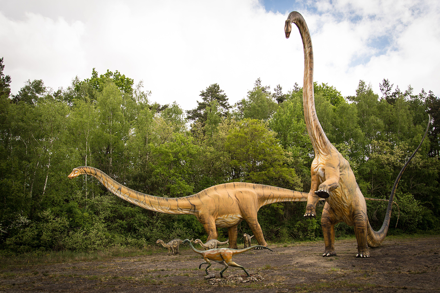 Dino